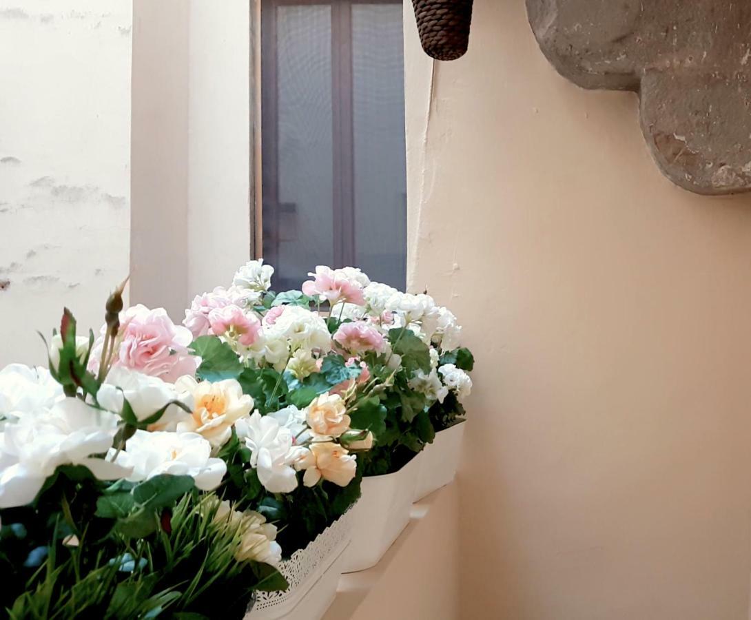 פירנצה Velvet Loft - Santo Spirito Apartment מראה חיצוני תמונה